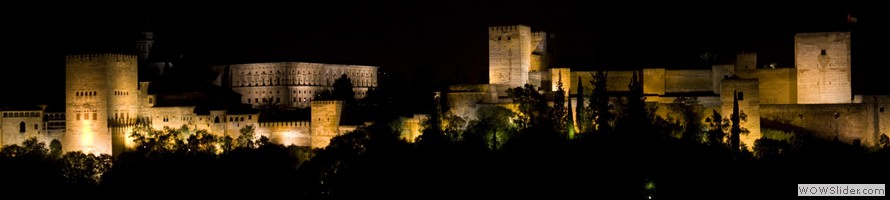 Alhambra's Night